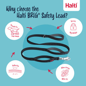 Halti BRIG Safety Lead Neon Black Large