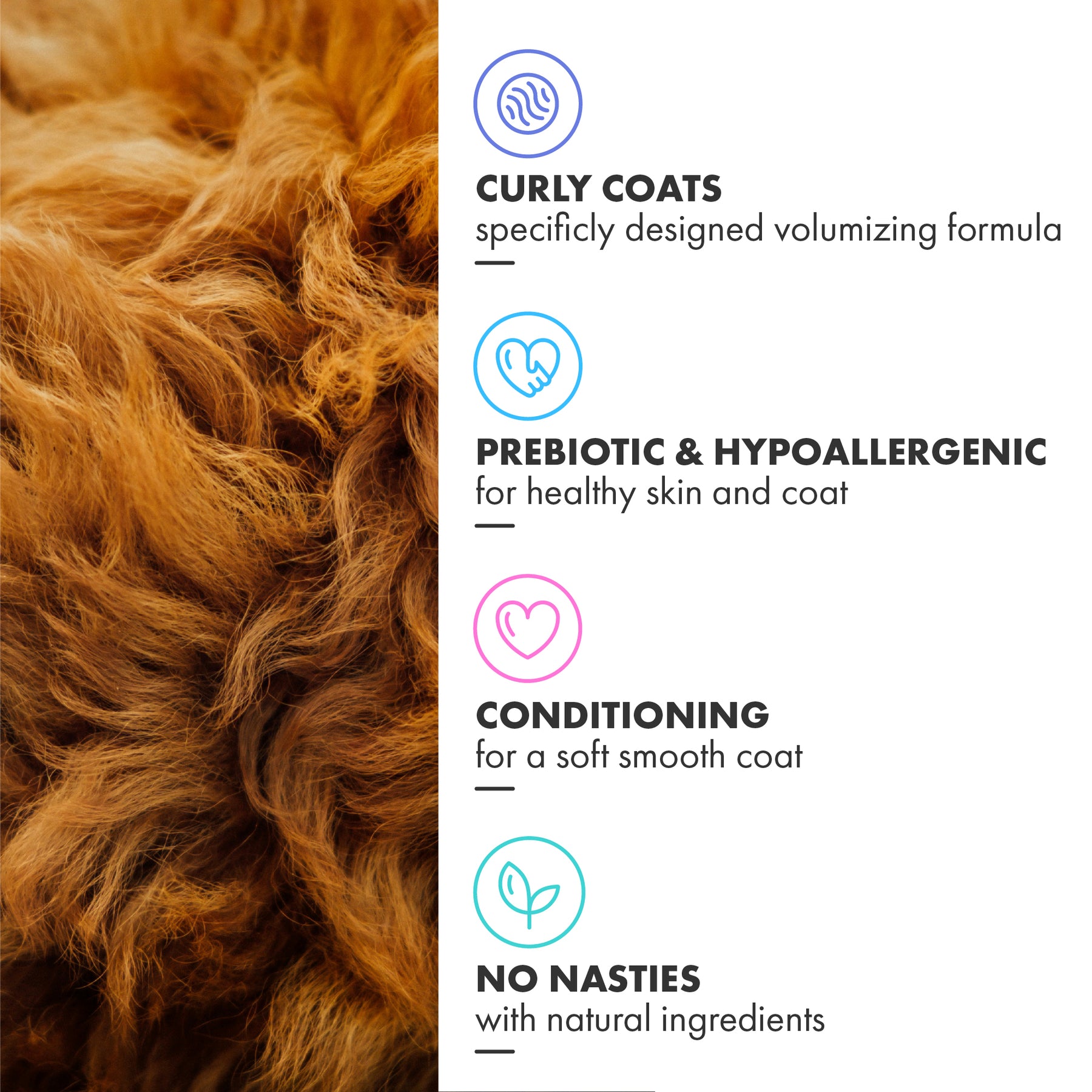 Battersea Volumizing for Curly Coat Dog Shampoo