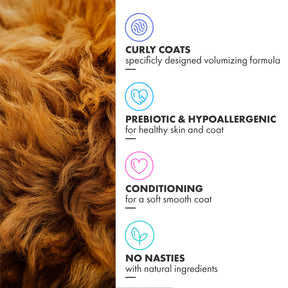 Battersea Volumizing for Curly Coat Dog Shampoo