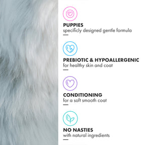 Battersea Conditioning Puppy Dog Shampoo