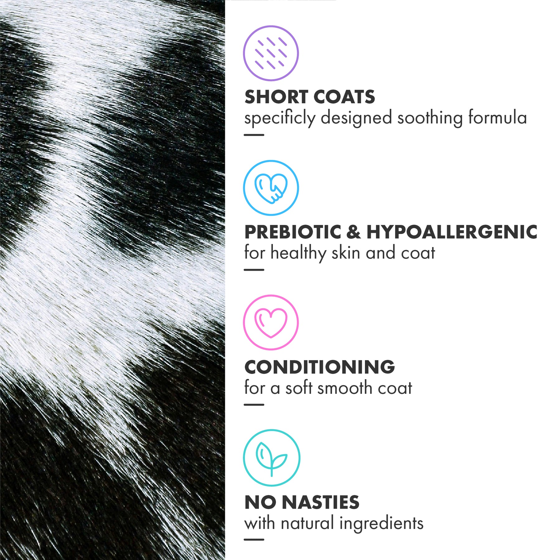 Battersea Soothing for Short Coat Dog Shampoo