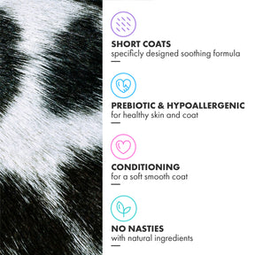 Battersea Soothing for Short Coat Dog Shampoo