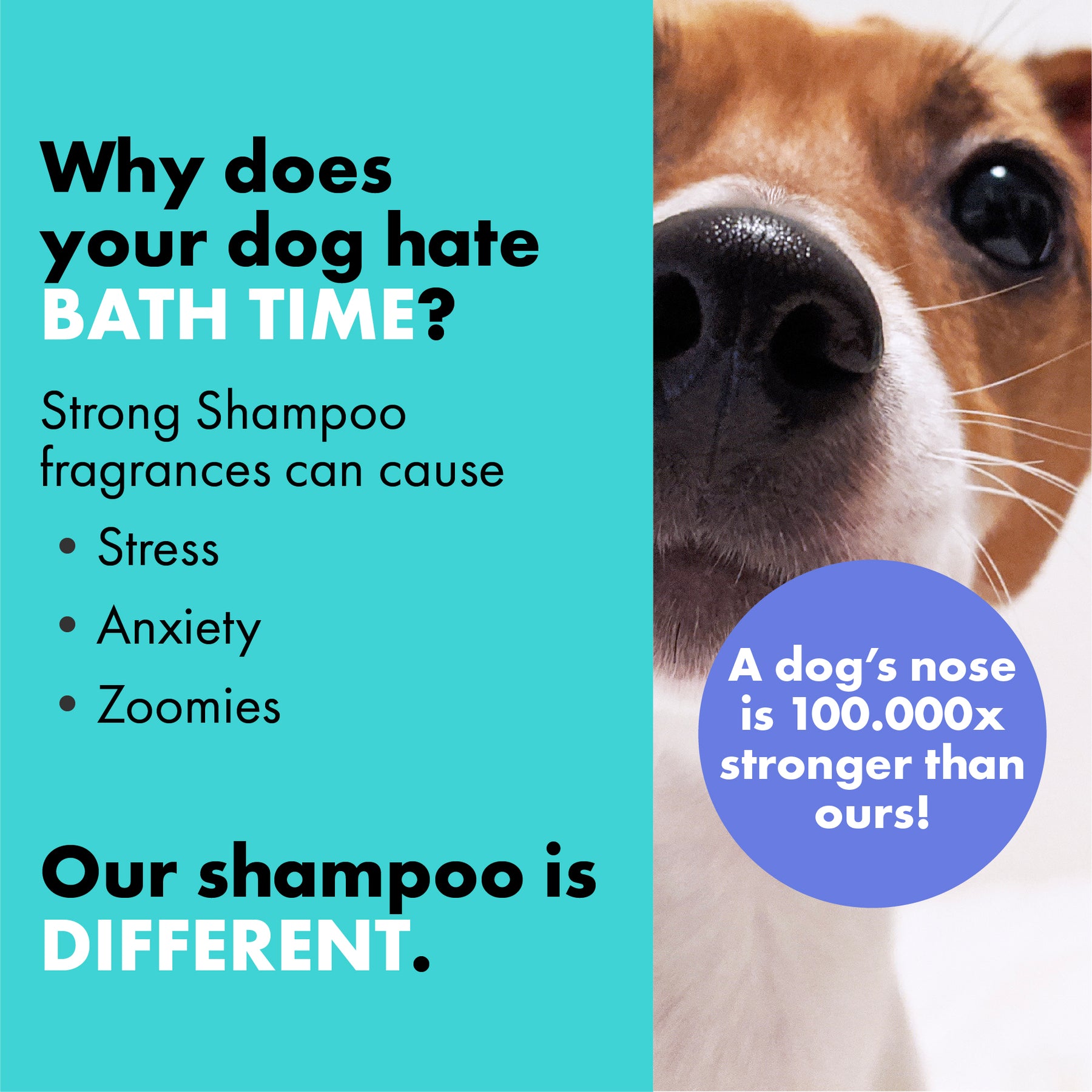 Battersea Conditioning Puppy Dog Shampoo
