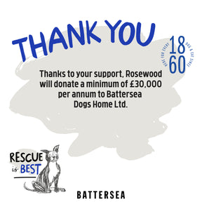 Battersea Rubber Belly Bear Dog Toy