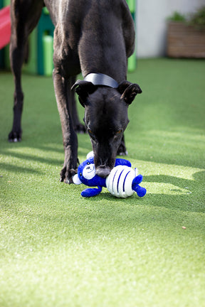 Battersea Rubber Belly Bear Dog Toy
