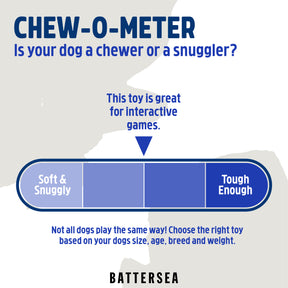 Battersea Foam Frisbee Dog Toy