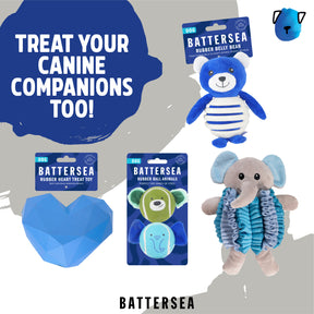 Battersea Butterfly & Dragonfly Duo Cat Toy