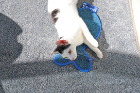Battersea Fish Shaped Cat Scratcher Mat