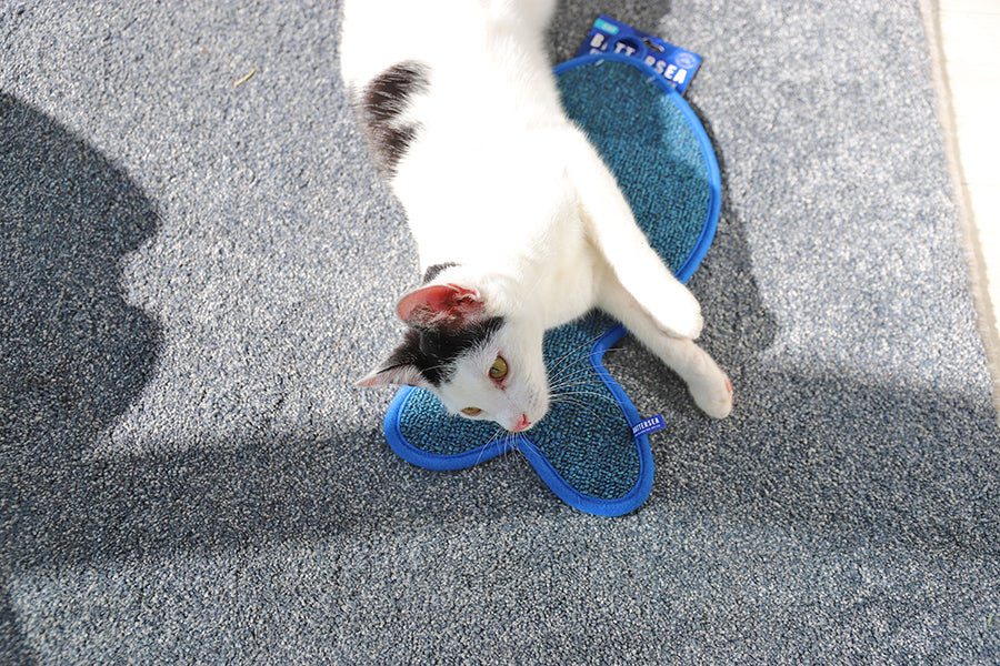 Battersea Fish Shaped Cat Scratcher Mat