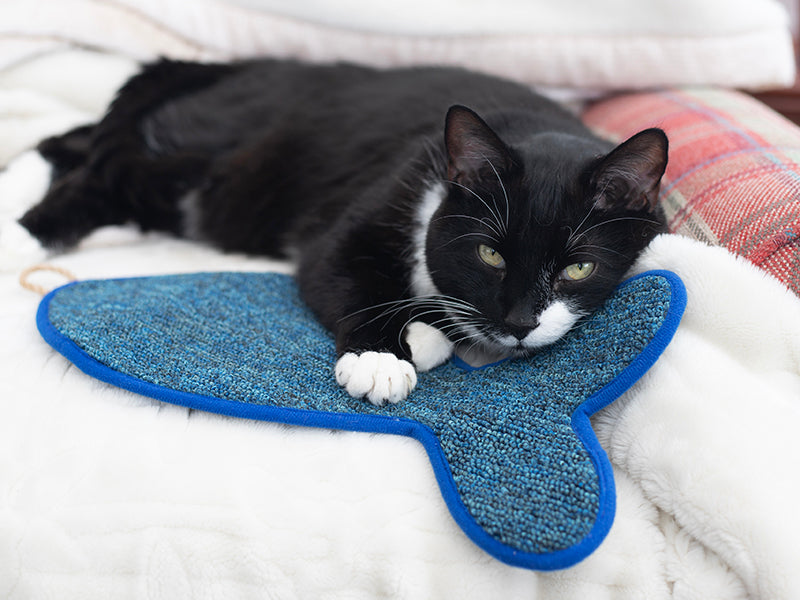 Battersea Fish Shaped Cat Scratcher Mat