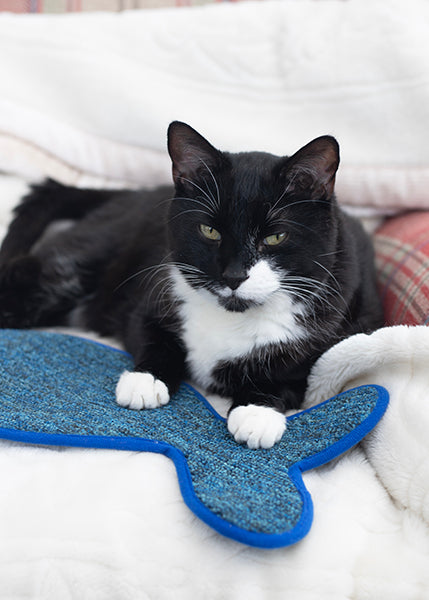 Battersea Fish Shaped Cat Scratcher Mat