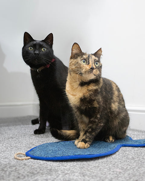Battersea Fish Shaped Cat Scratcher Mat