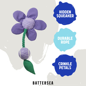 Battersea Flower Tug Dog Toy