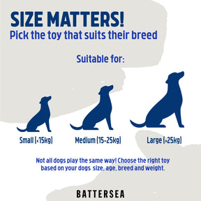 Battersea Crinkle Butterfly Dog Toy