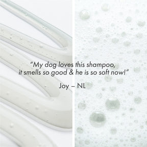 Battersea Conditioning Puppy Dog Shampoo