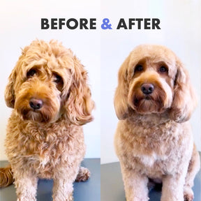 Battersea Volumizing for Curly Coat Dog Shampoo