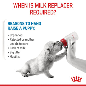 ROYAL CANIN Babydog Milk Puppy Dog
