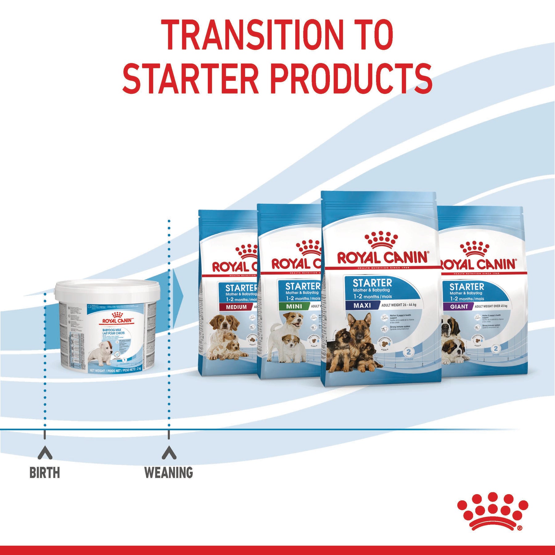 ROYAL CANIN Babydog Milk Puppy Dog