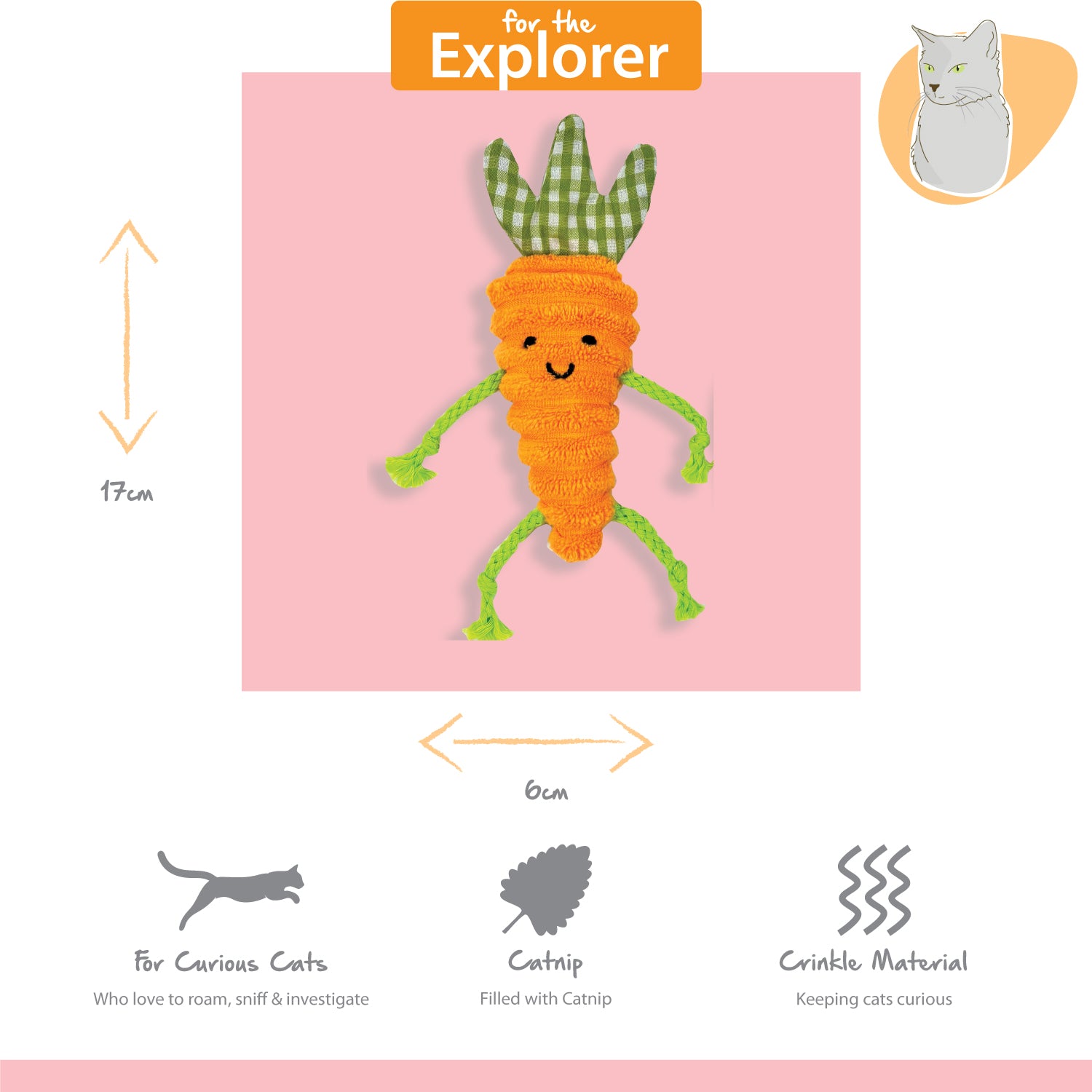 Tabby Patch Catnip Carrots 2Pk