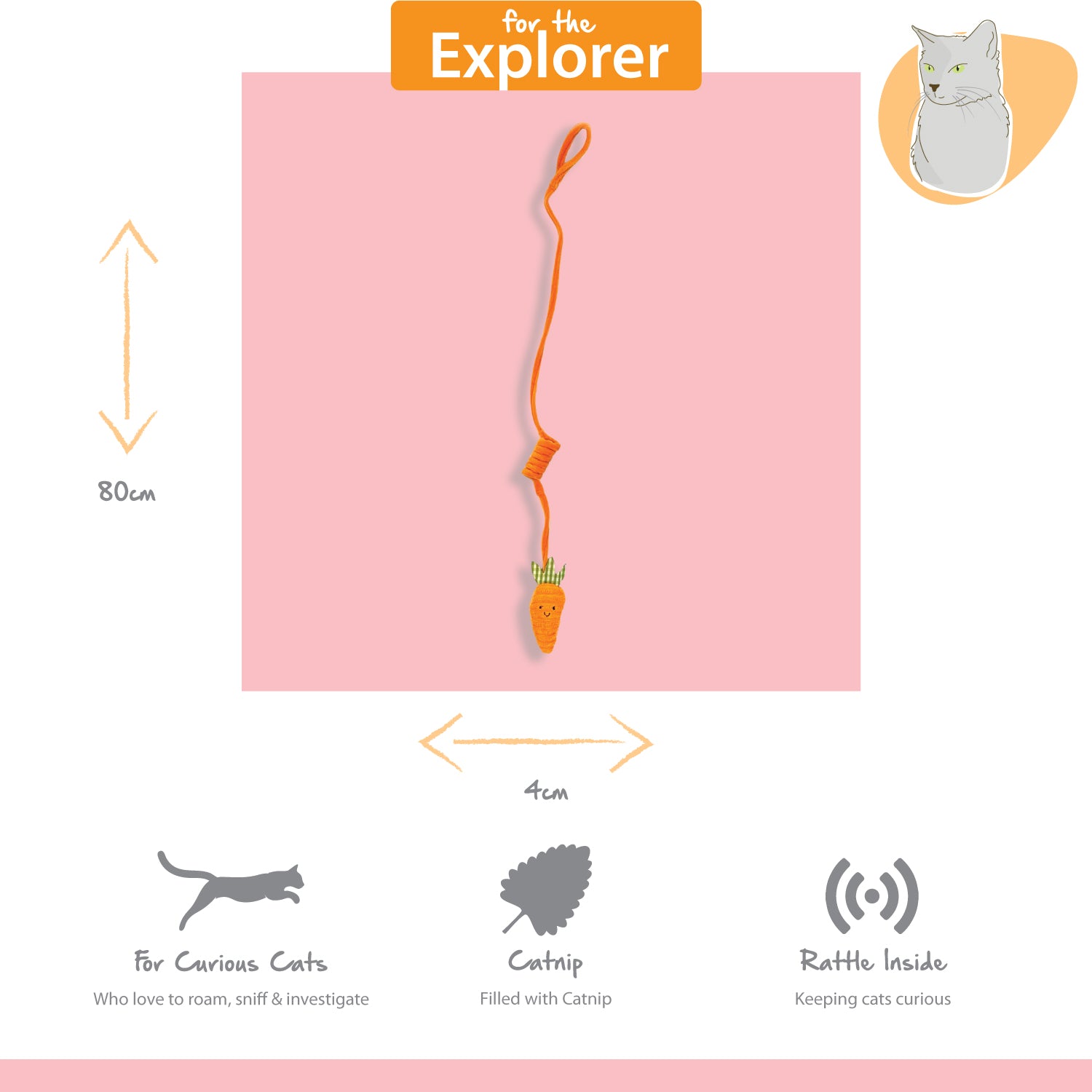 Tabby Patch Carrot Cat Bungee