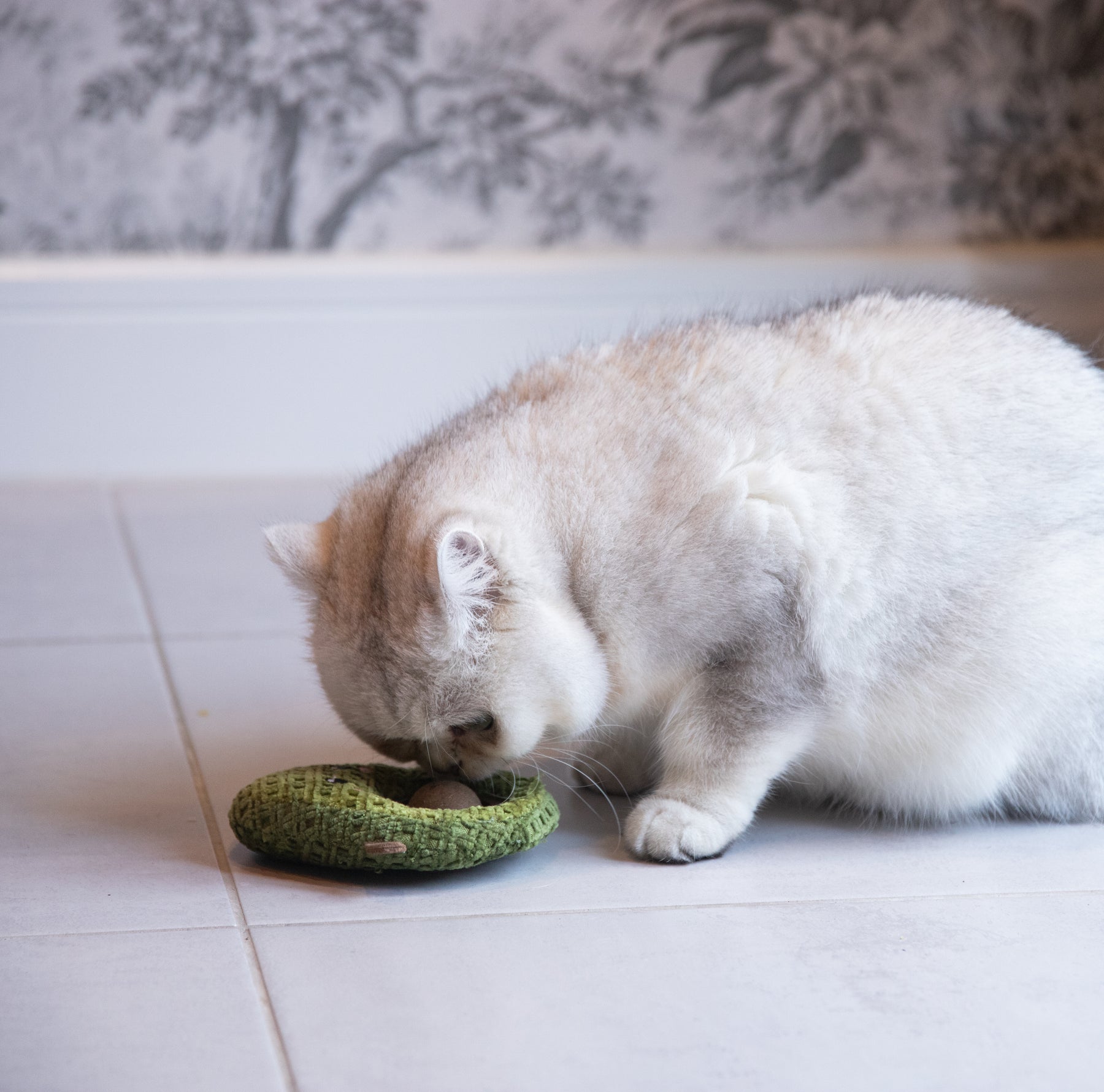 Rosewood Ava Avocado