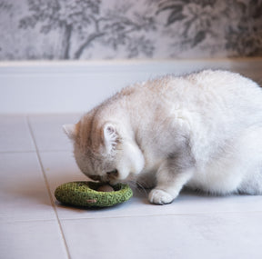 Rosewood Ava Avocado