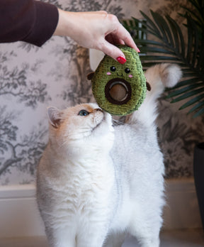 Rosewood Ava Avocado