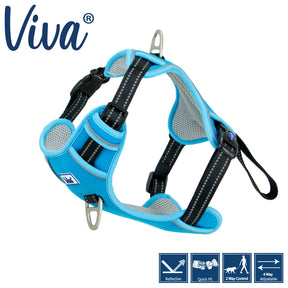 Viva Exercise & Travel Harness Blue (4 sizes)