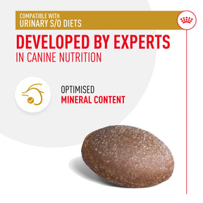 ROYAL CANIN Urinary S/O Treats 230g