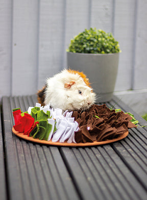 Rosewood Pudding Snuffle Forage Mat for Dogs, Cats, Rabbits, Rodents and Ferrets