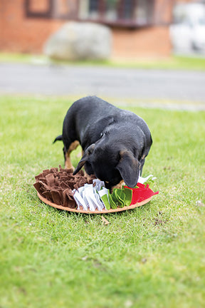 Rosewood Pudding Snuffle Forage Mat for Dogs, Cats, Rabbits, Rodents and Ferrets