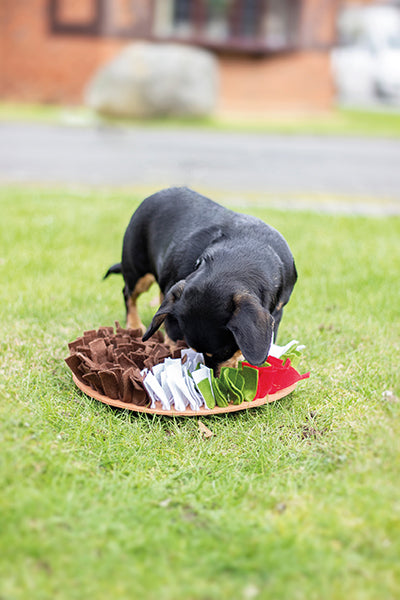 Rosewood Pudding Snuffle Forage Mat for Dogs, Cats, Rabbits, Rodents and Ferrets