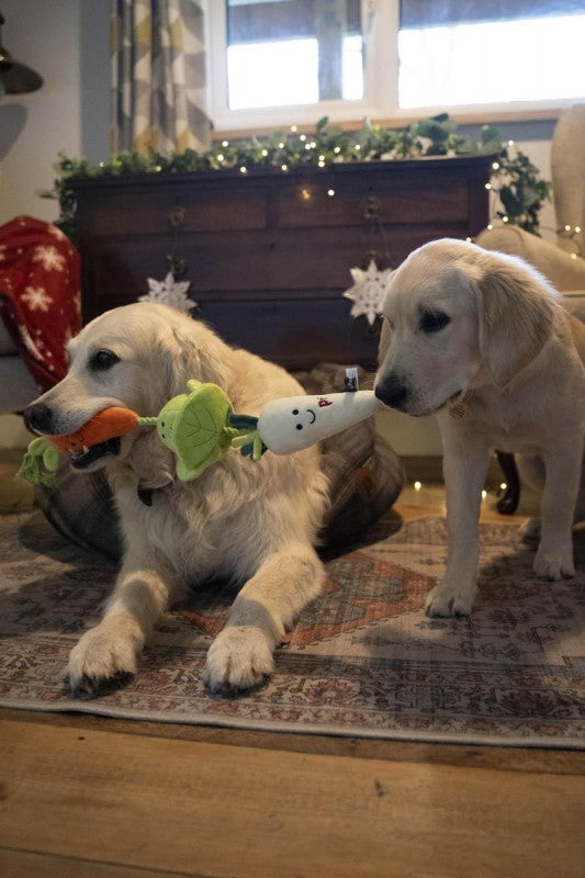 Petface Foodie Faces Christmas Veggie Tugger & Rope Dog Toy