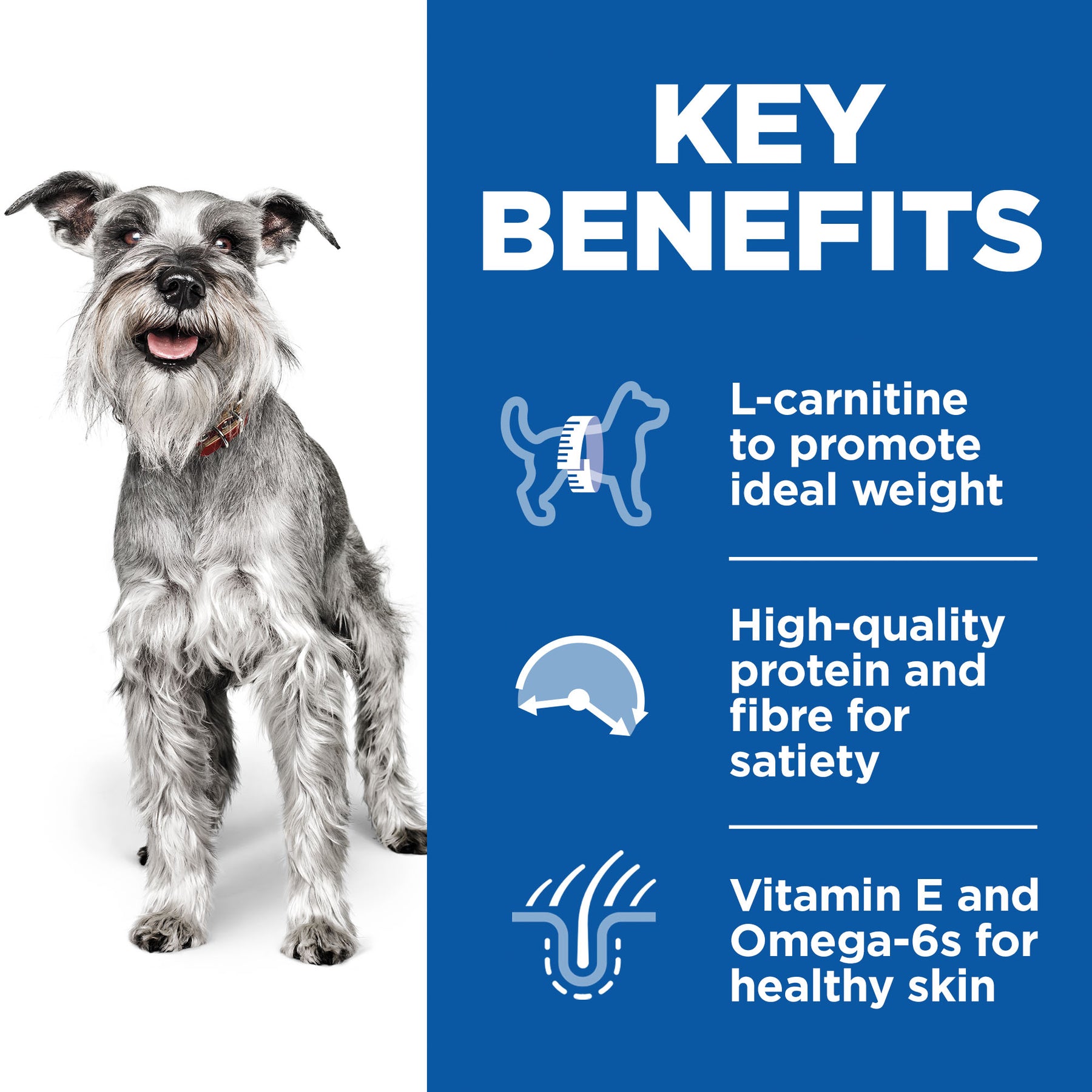Hill's™ Science Plan Mature Adult 7+ Light Small & Mini Dry Dog Food Chicken Flavour 2.5kg