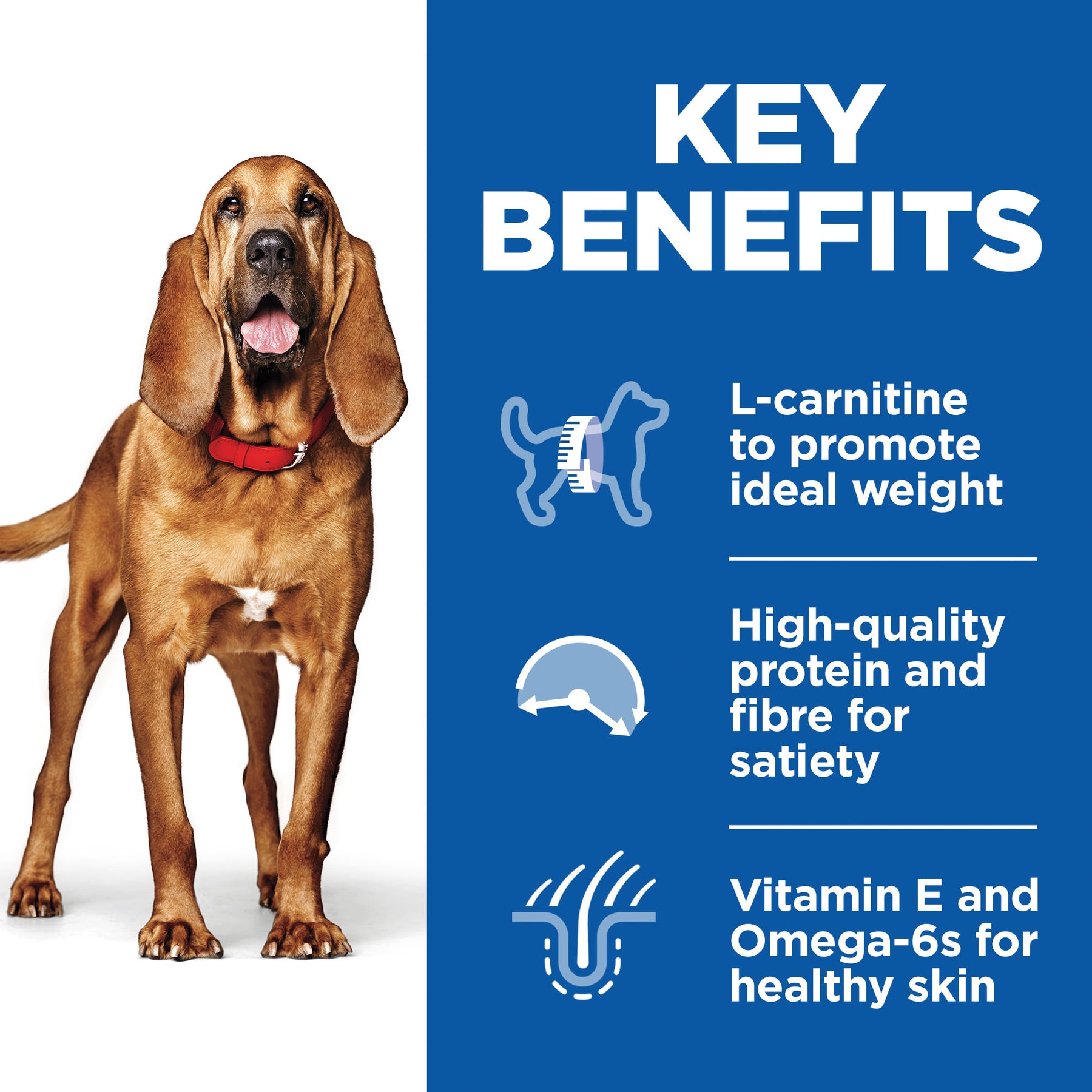 Hill's™ Science Plan Mature Adult 7+ Light Medium Dry Dog Food Chicken Flavour 14kg