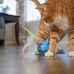 Nina Ottosson Catstages Treat Tumbler