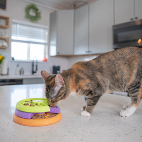 Nina Ottosson Catstages Puzzle and Feeder in one