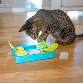 Nina Ottosson Catstages Cat Puzzle Toy