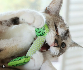 Nina Ottosson Catstages Fresh Breath Mint Stick Cat Toy