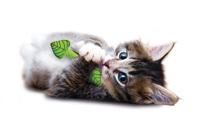 Nina Ottosson Catstages Fresh Breath Mint Stick Cat Toy