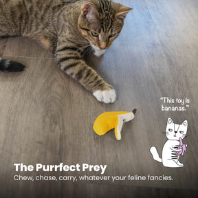 Nina Ottosson Catstages Dental Banana Cat Toy