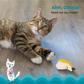 Nina Ottosson Catstages Dental Banana Cat Toy