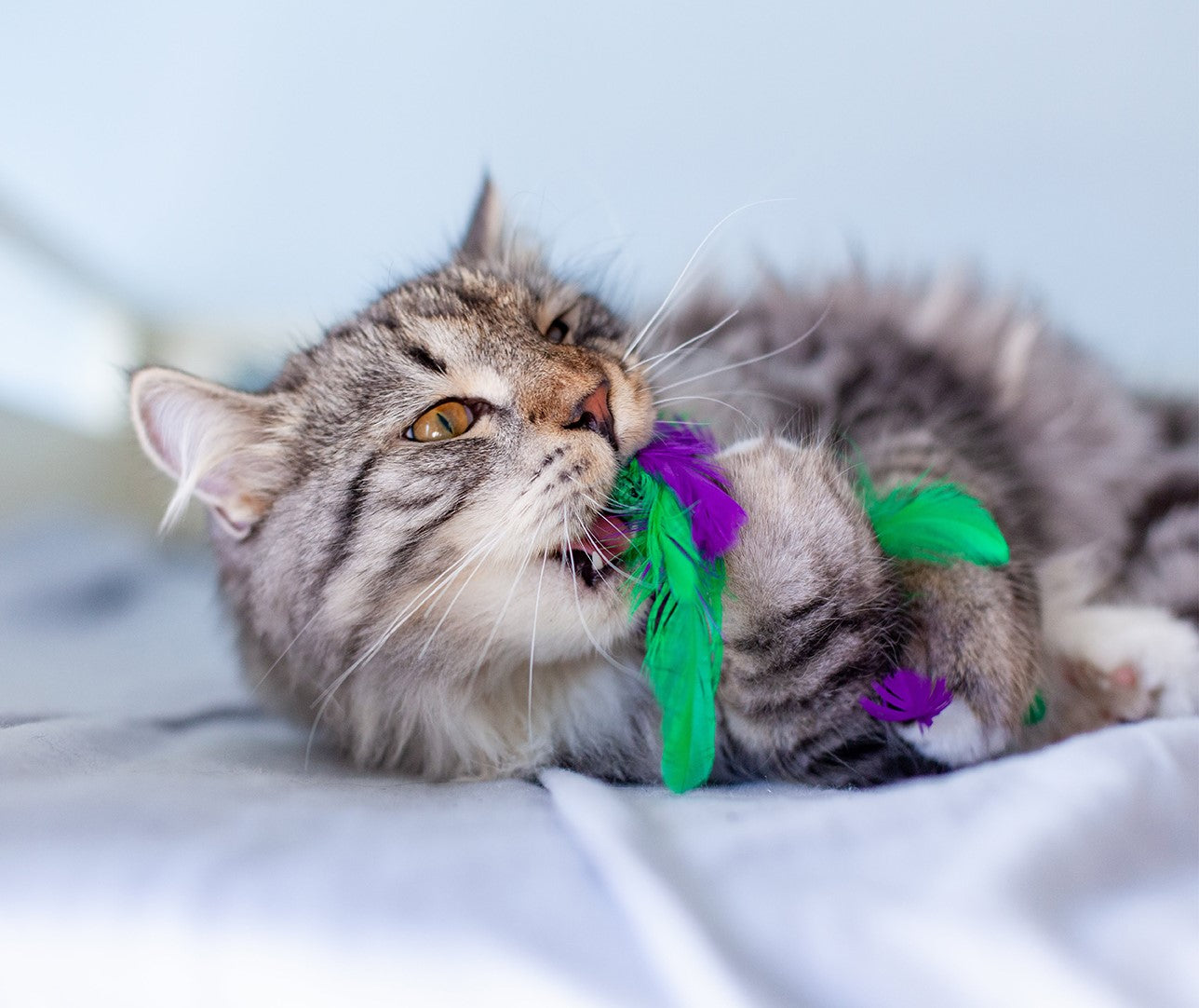 Nina Ottosson Catstages Krazy Kale Cat Toy