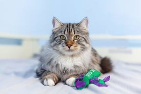 Nina Ottosson Catstages Krazy Kale Cat Toy