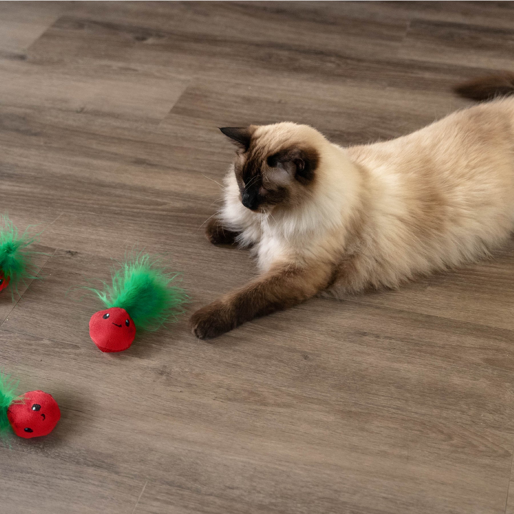 Nina Ottosson Catstages Strawbabies 3 pack Pink Cat Toy