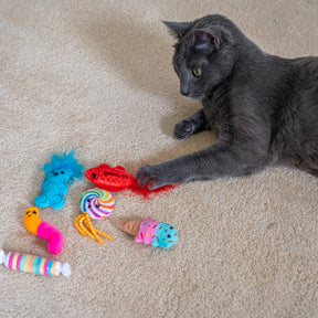 Nina Ottosson Catstages Kitty Sweet Treats 6 pack Cat Toys