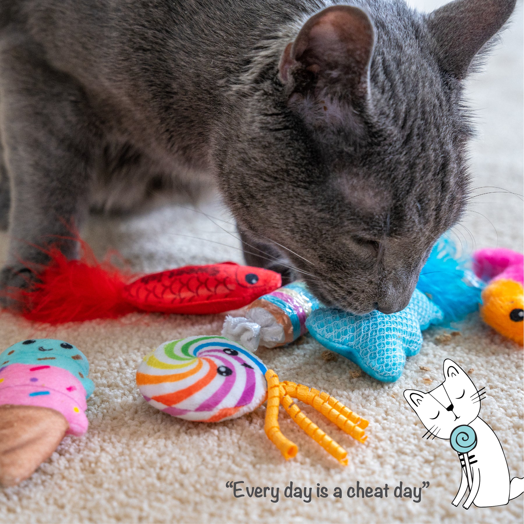 Nina Ottosson Catstages Kitty Sweet Treats 6 pack Cat Toys