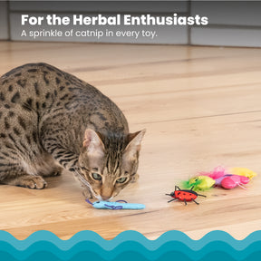 Nina Ottosson Catstages Cute as a Bug 6 pack Cat Toys
