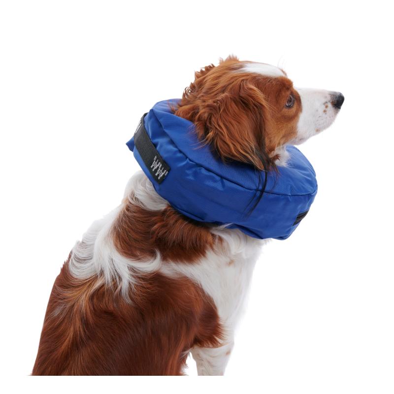 Protective Collar Inflatable E Collar Petsmart Inflatable Collar