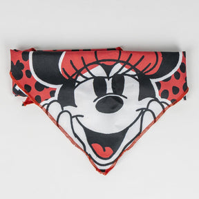 For Fan Pets Minnie Puppy Welcome Pack